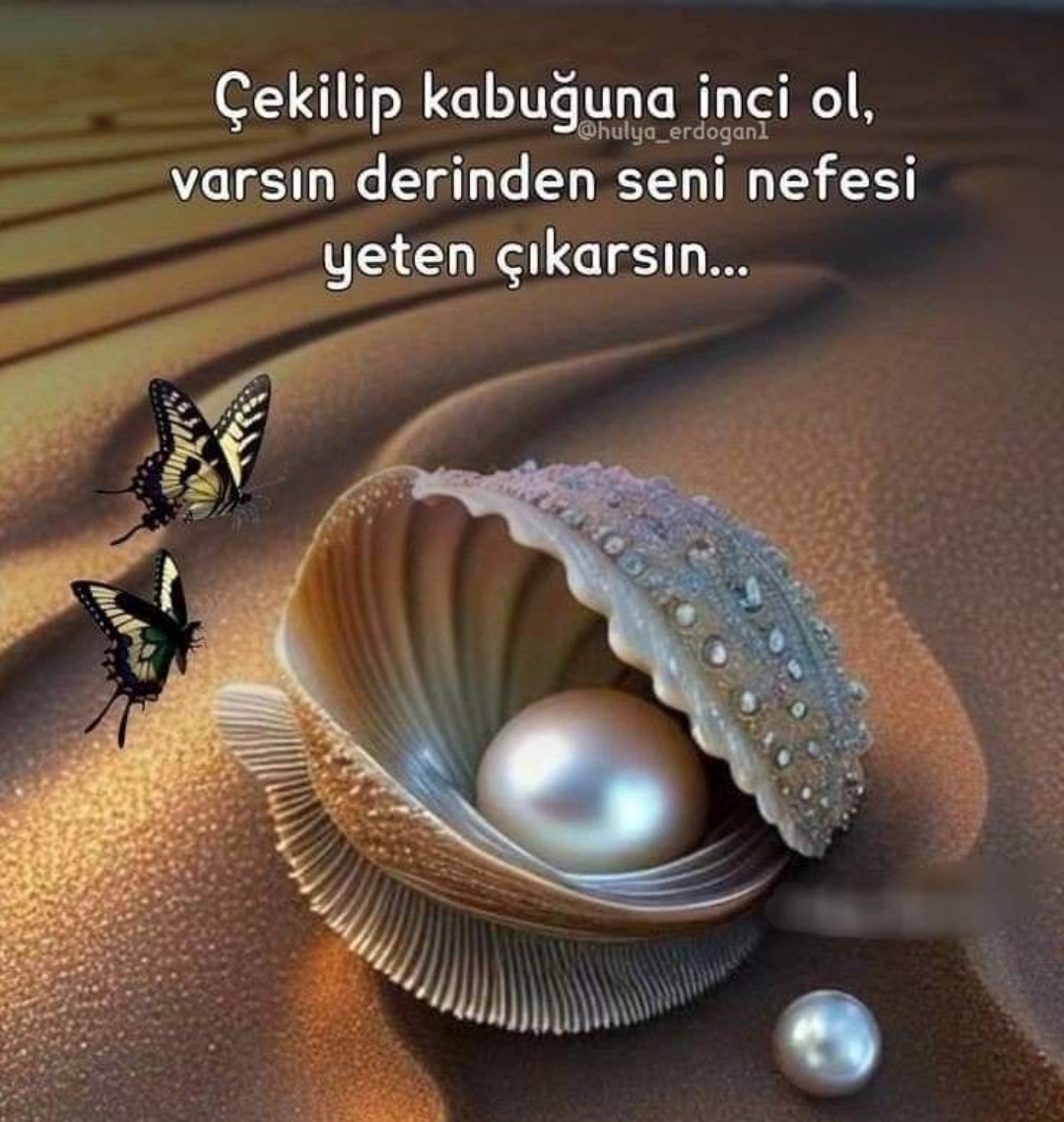 İnci