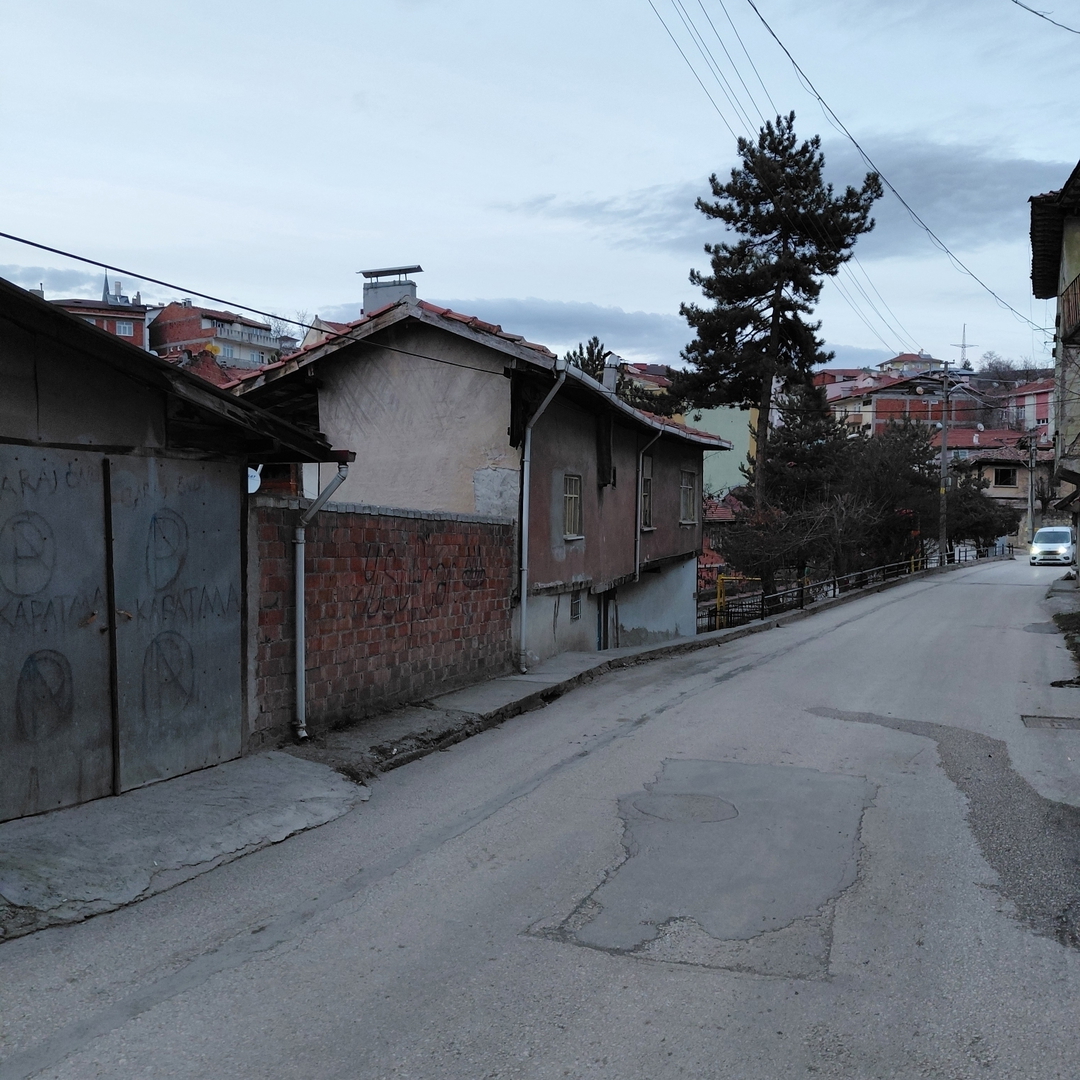 Yaşar