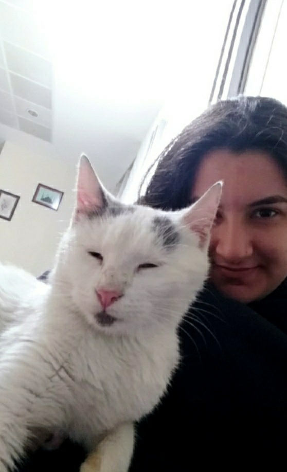Ceyda