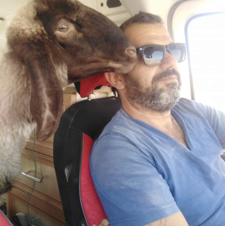 Kıvılcım