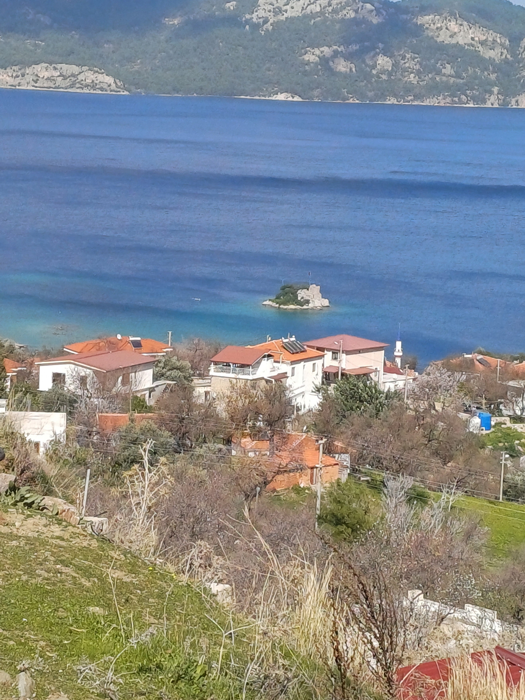 Dilek