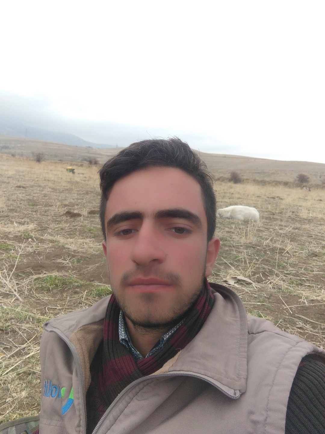Ferhat