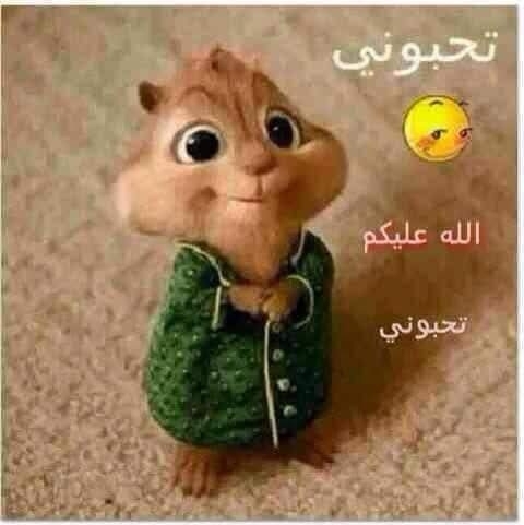 فاضل