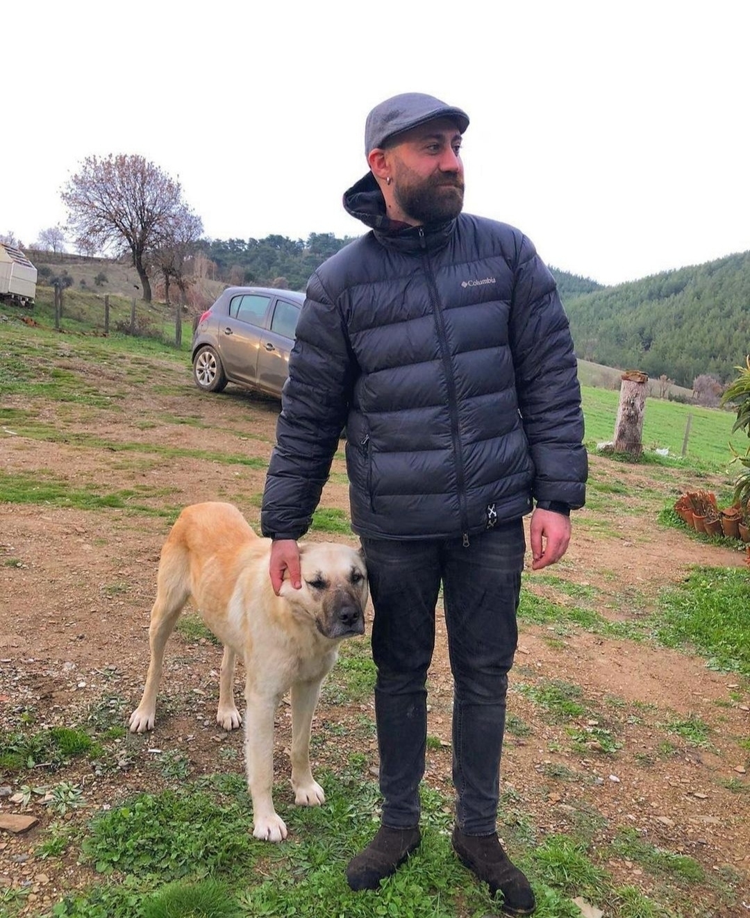 ALİ