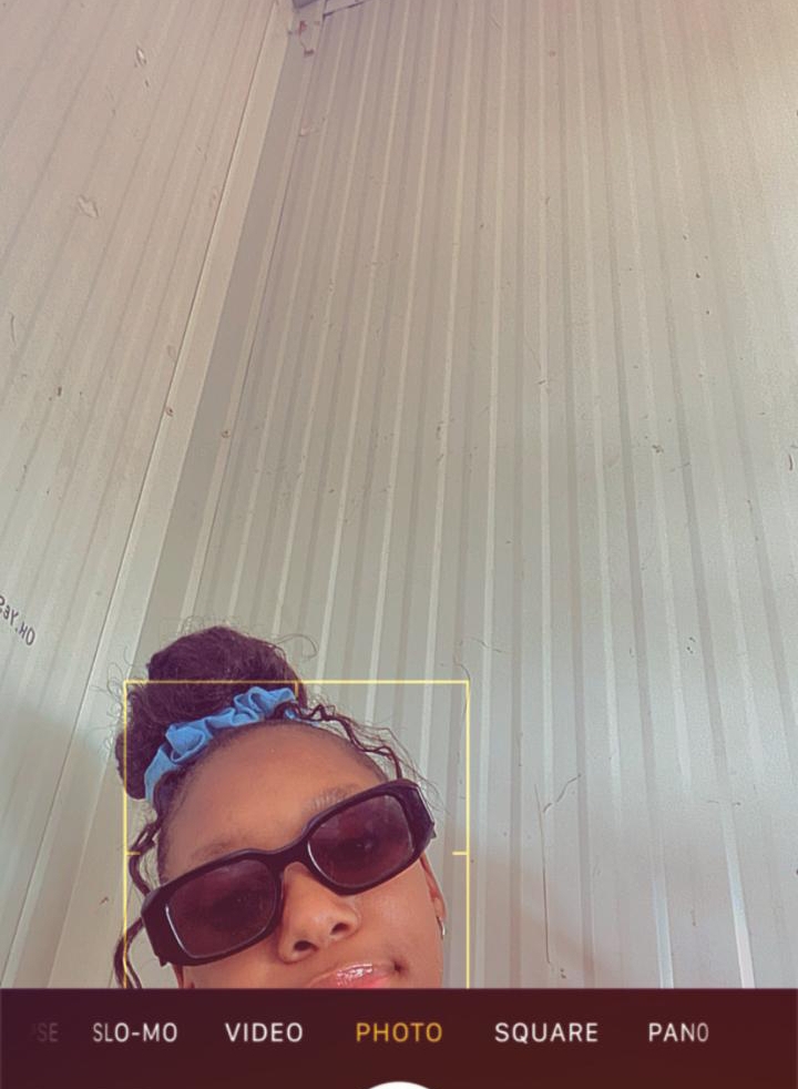 Dintle
