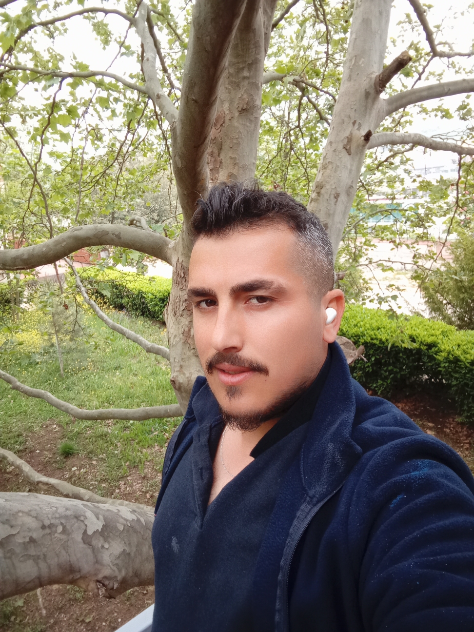 Araz