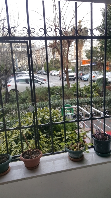 Şahabettin