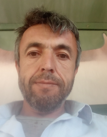 Bulut