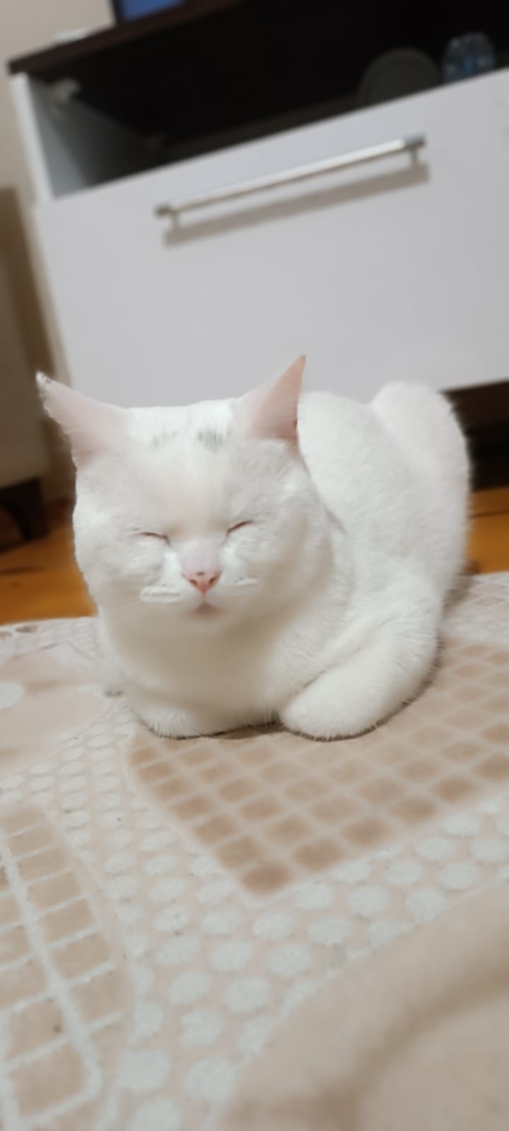 Yusuf