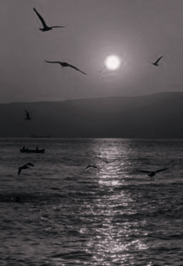 Murat