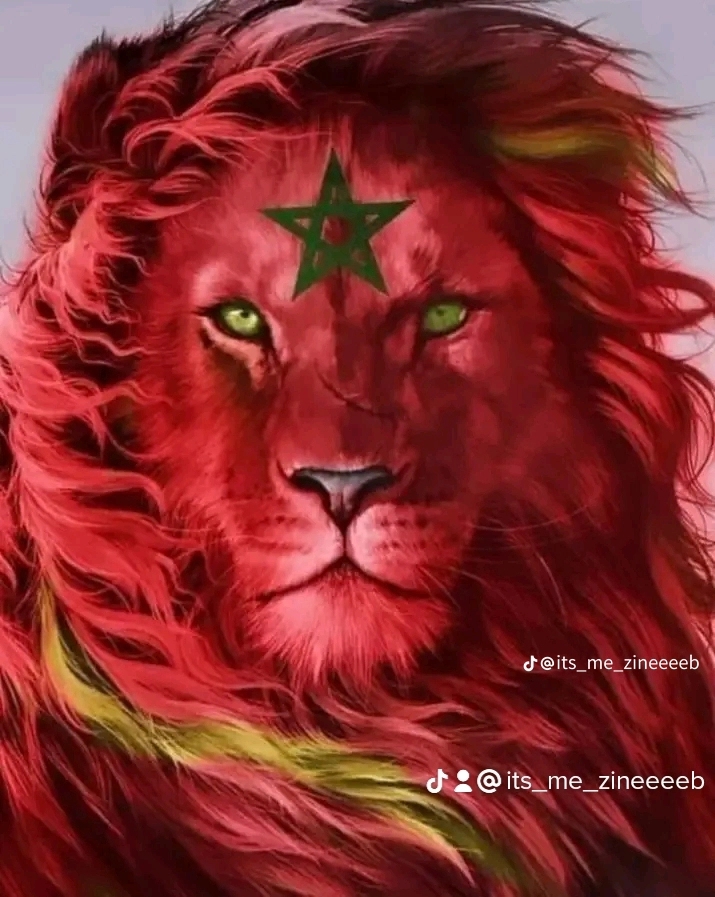 رشيد