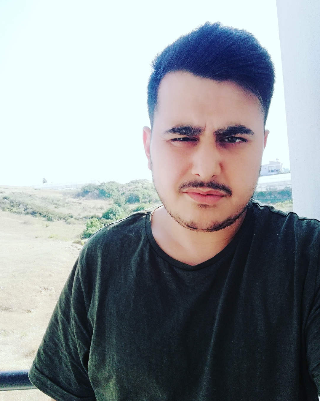 BOZKURTLAR