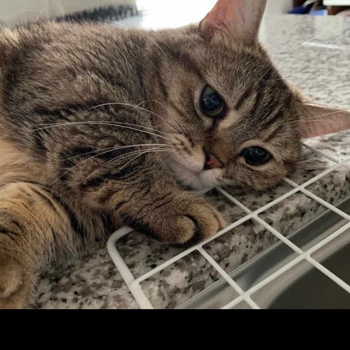Arfcbn