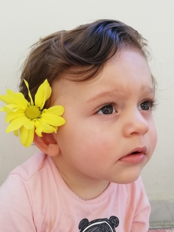 Sanem