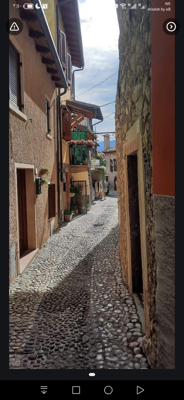 طارق