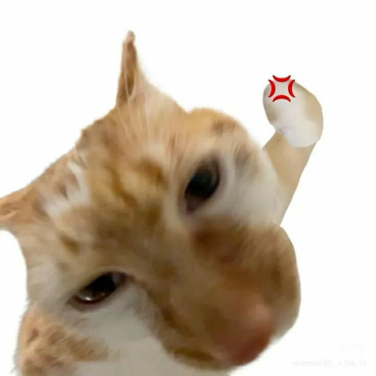 Pajarito