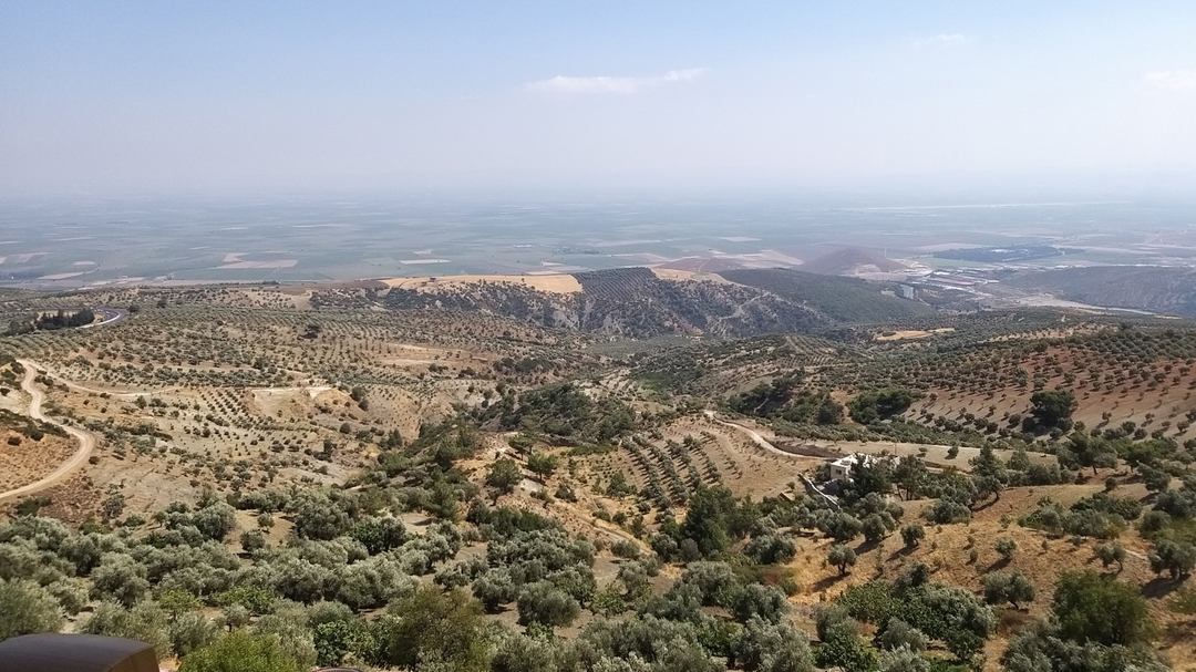 Merhsh