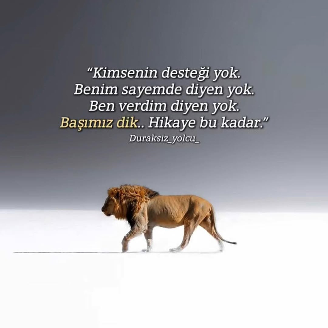 MEHTAP