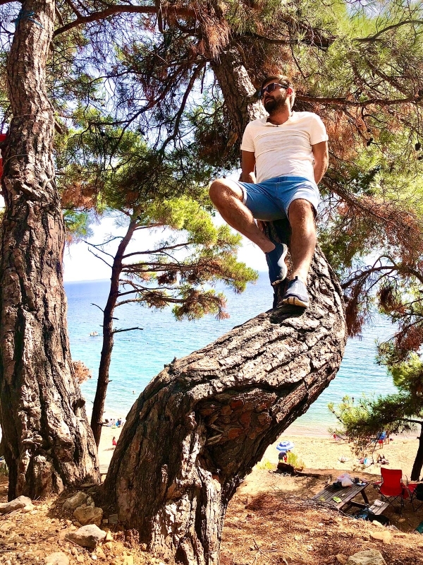 Çınar