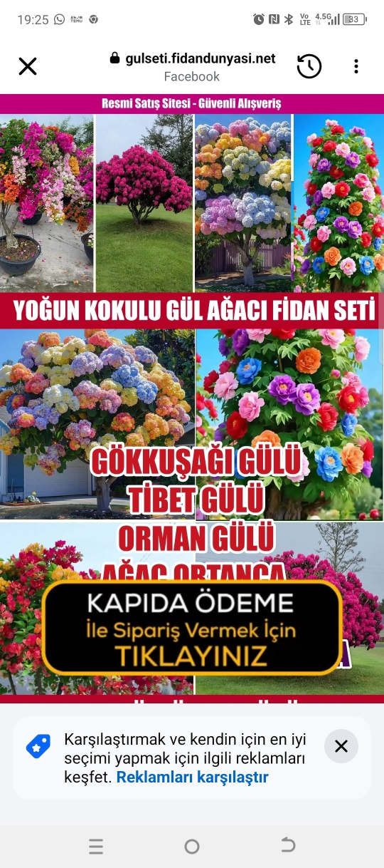 Tatar