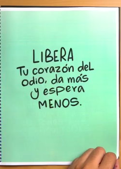 Mayde