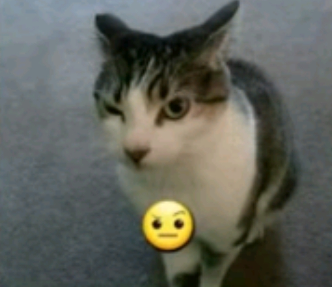 Joshua
