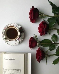 Meryem
