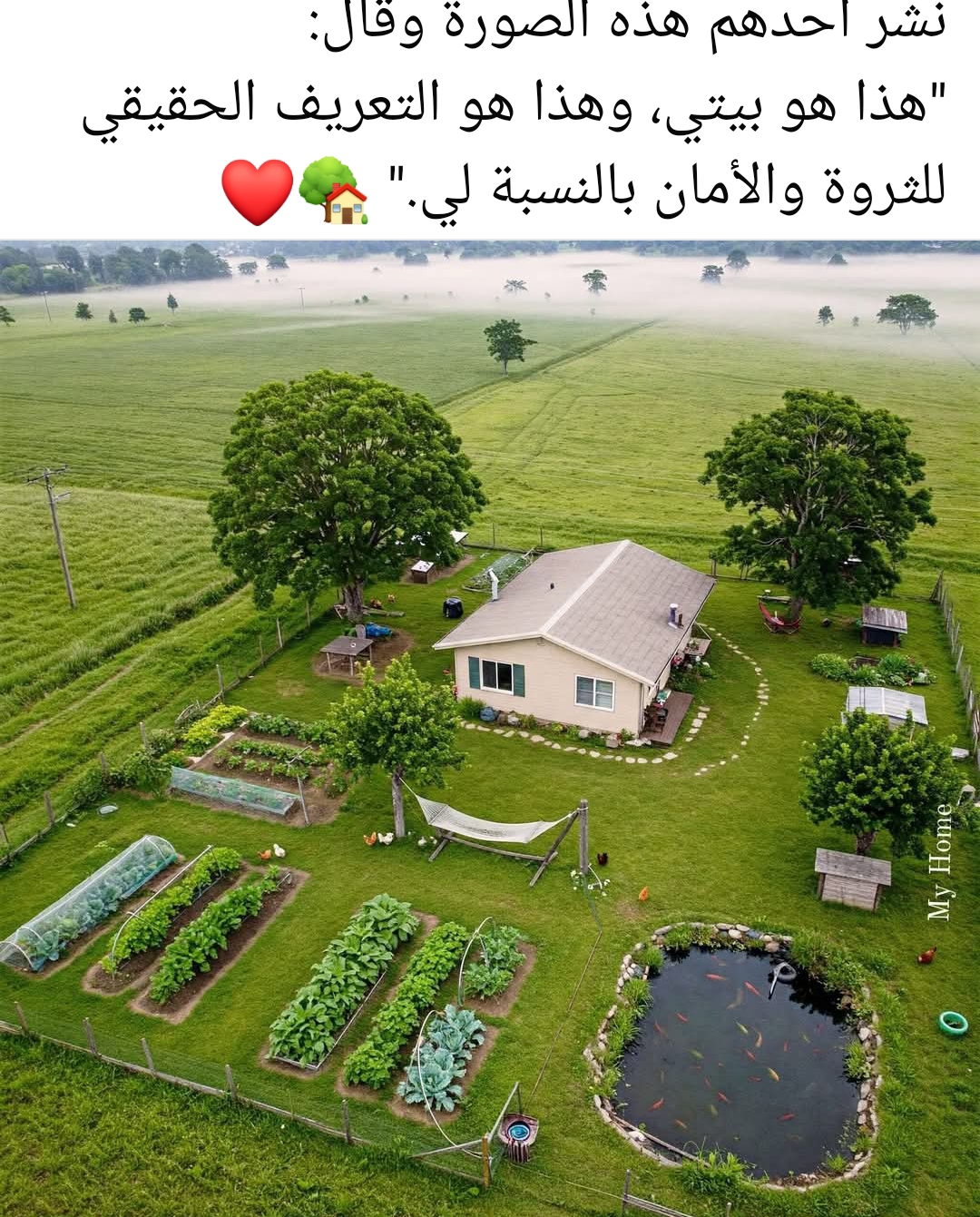 عبود