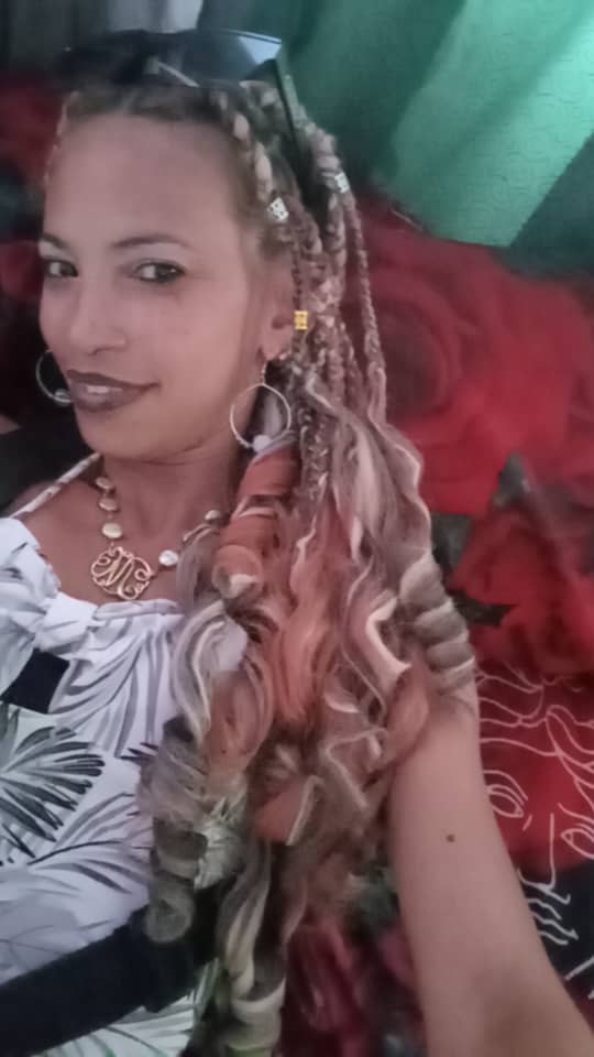 Merisleidis