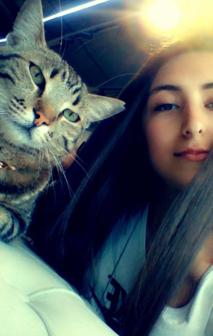Bahar