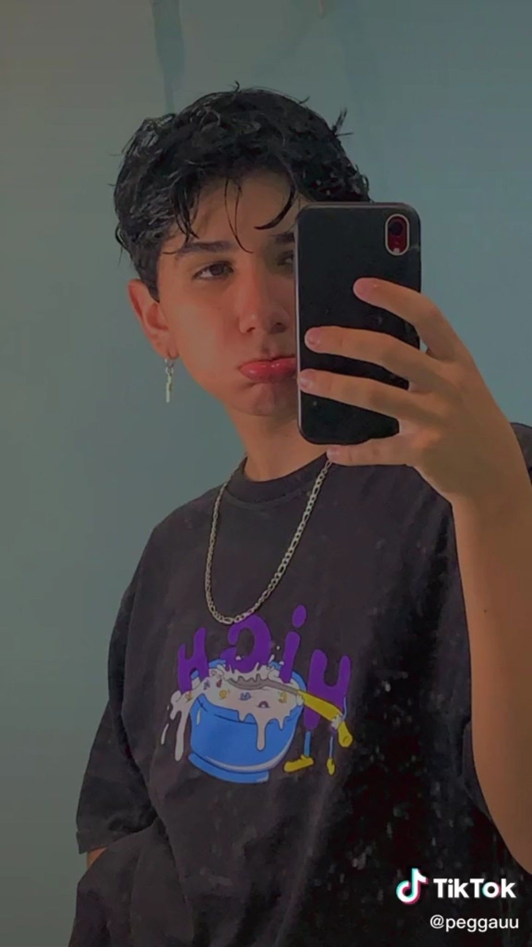 GEMEAS