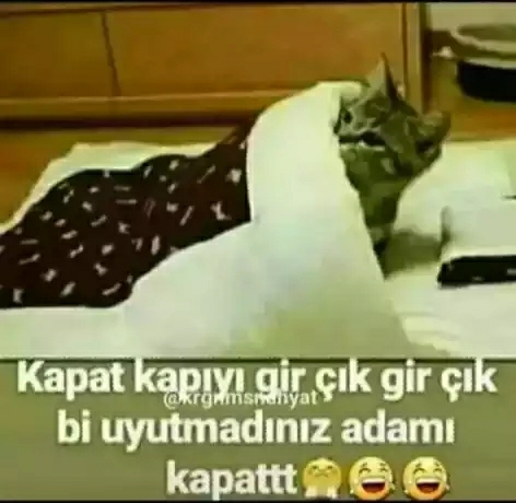 Poyraz