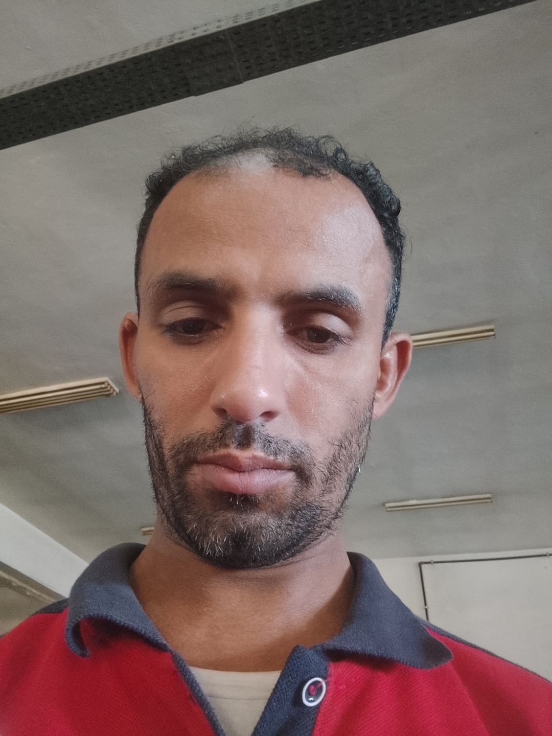 Alsayed
