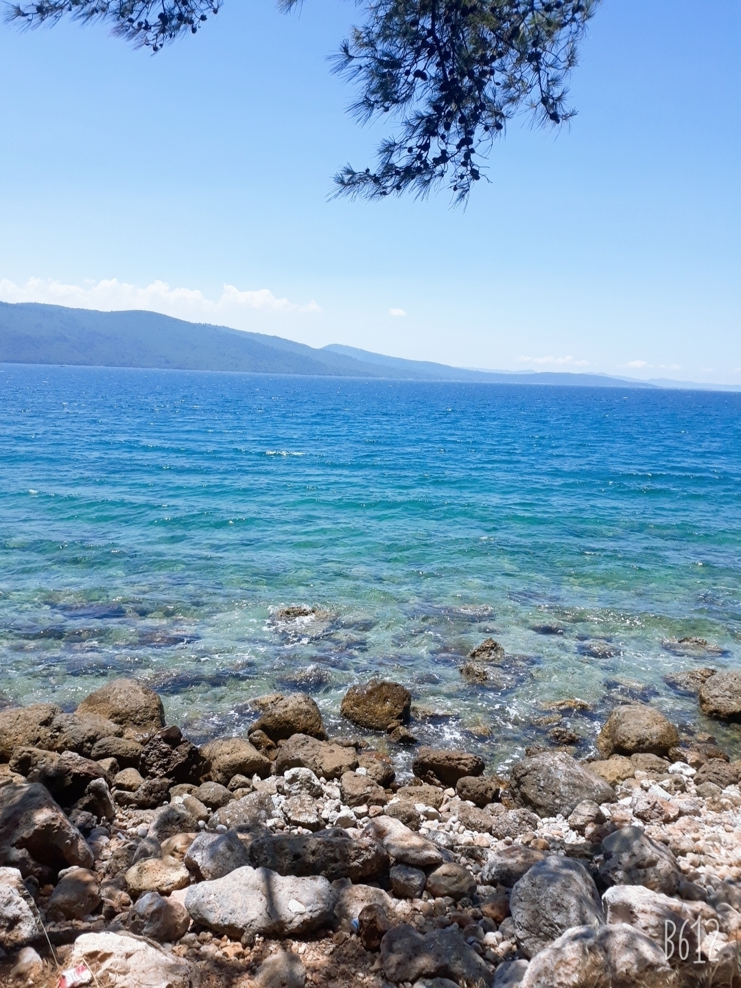 Savas