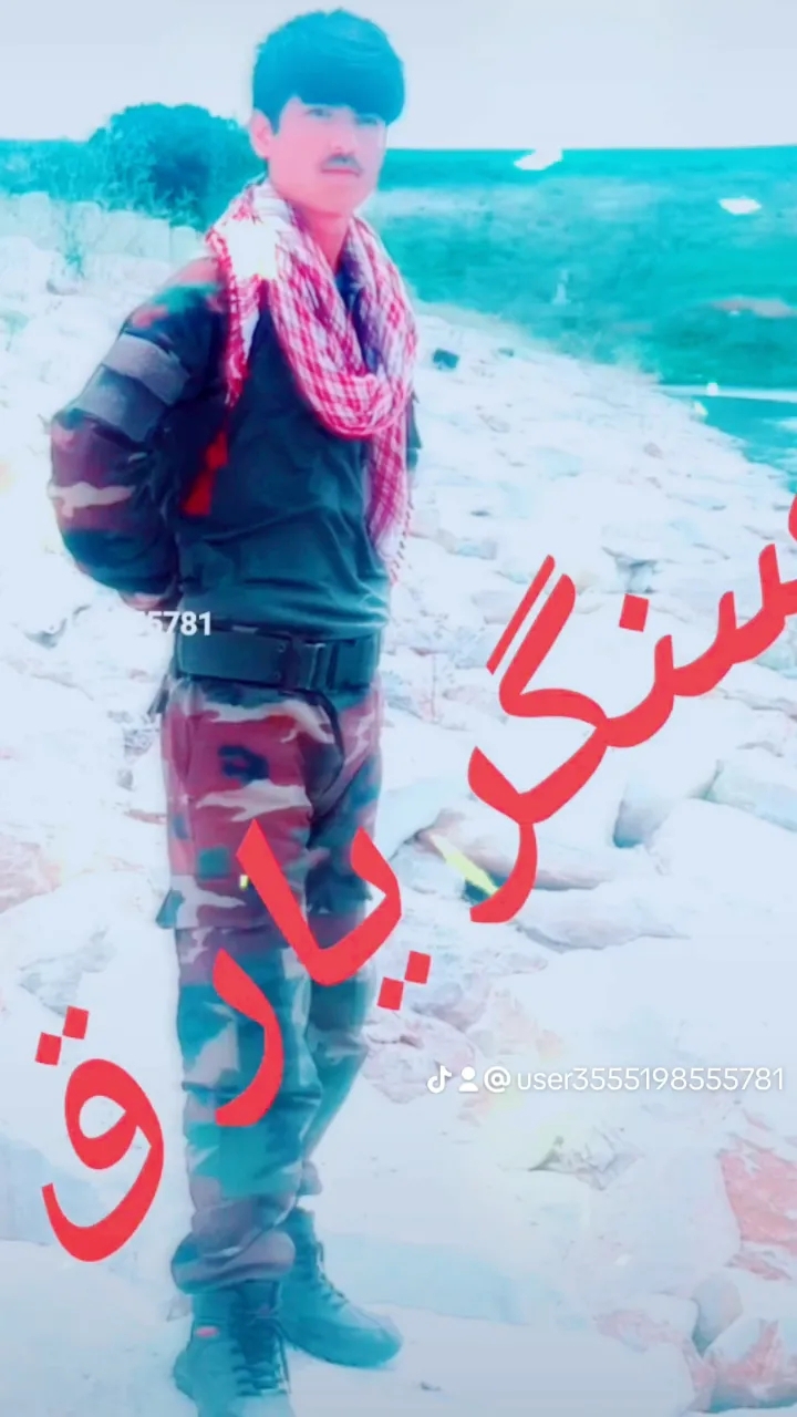 حبیب