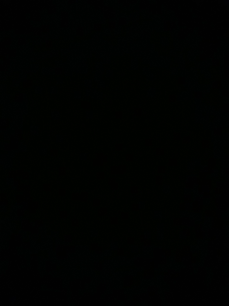 Biswajit