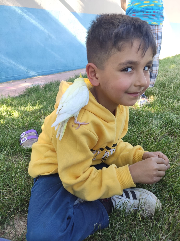 Fatma