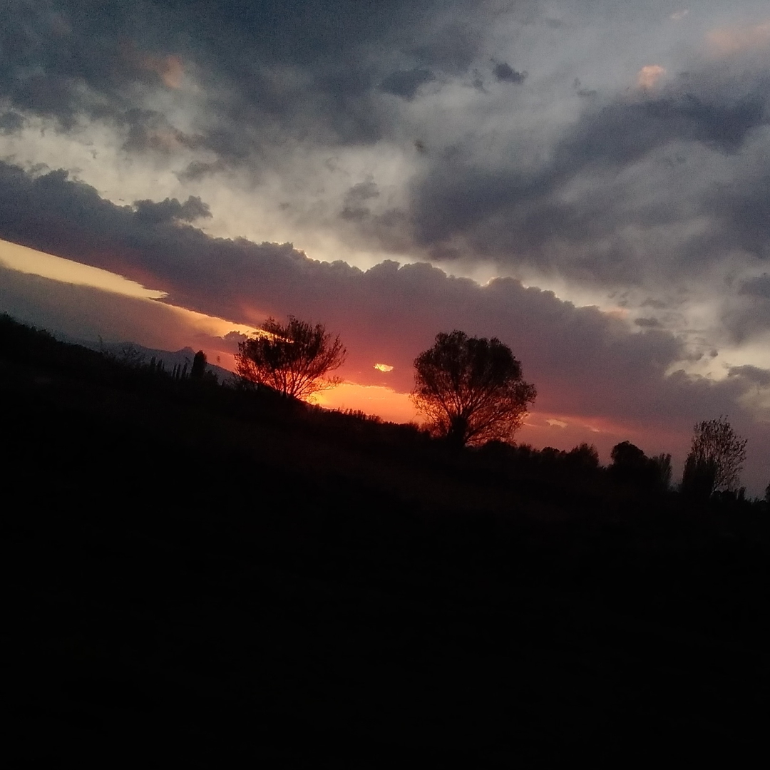 Edanur