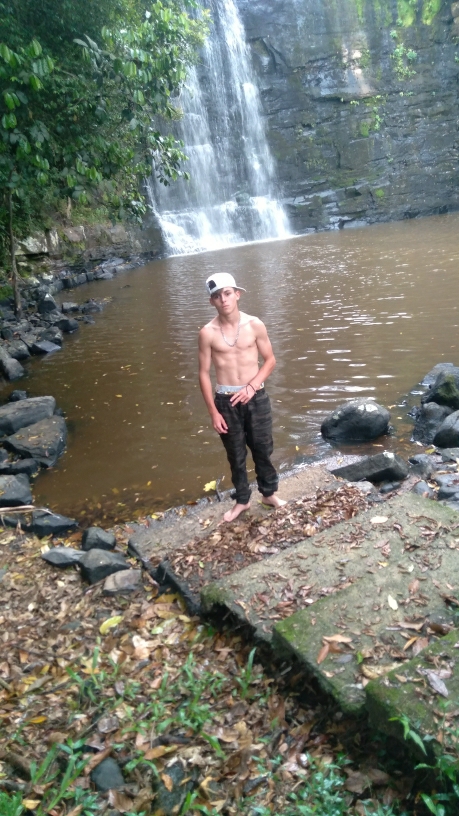 Alcides
