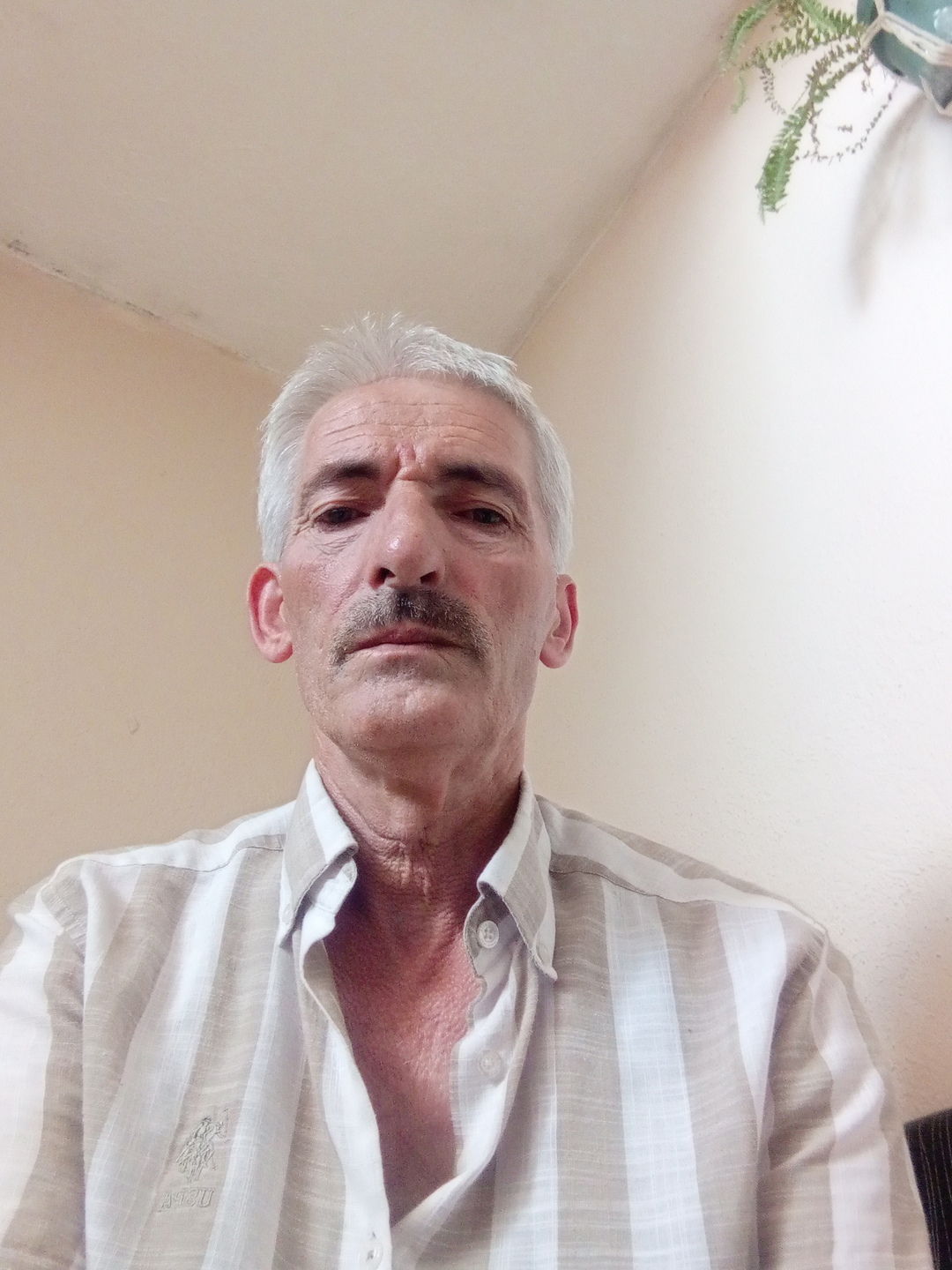 Cemal