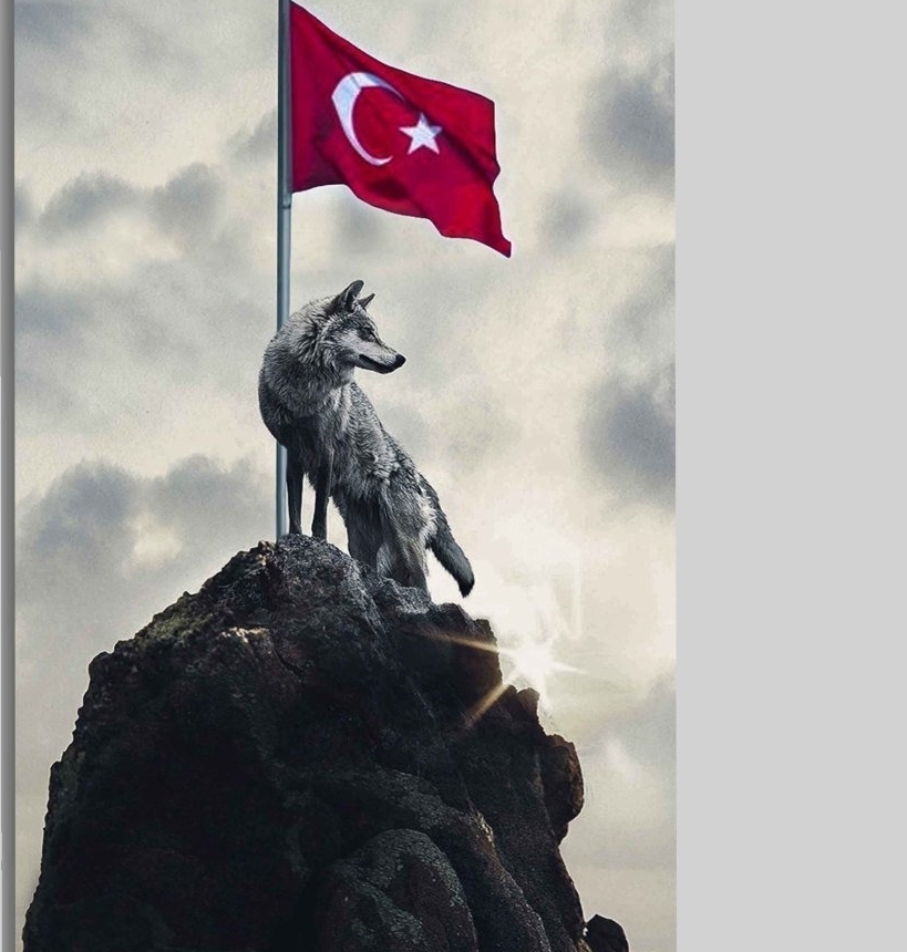 Cem