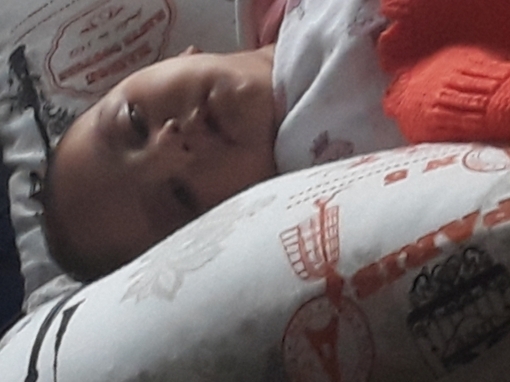 Yigit