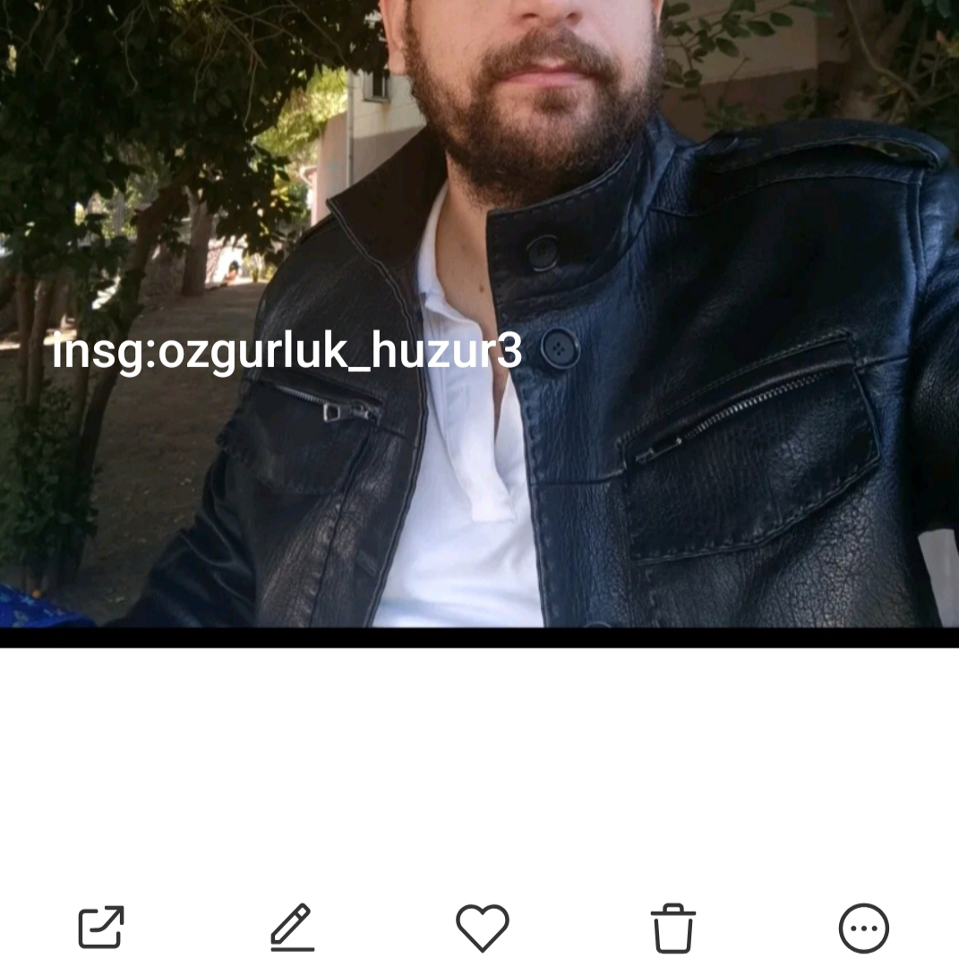 Özgürlük