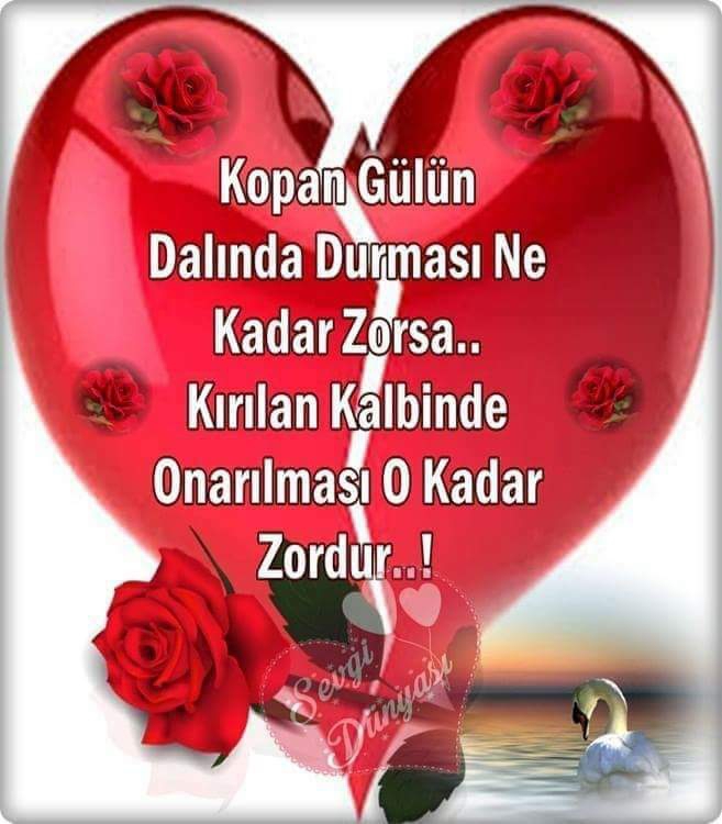 Cengiz