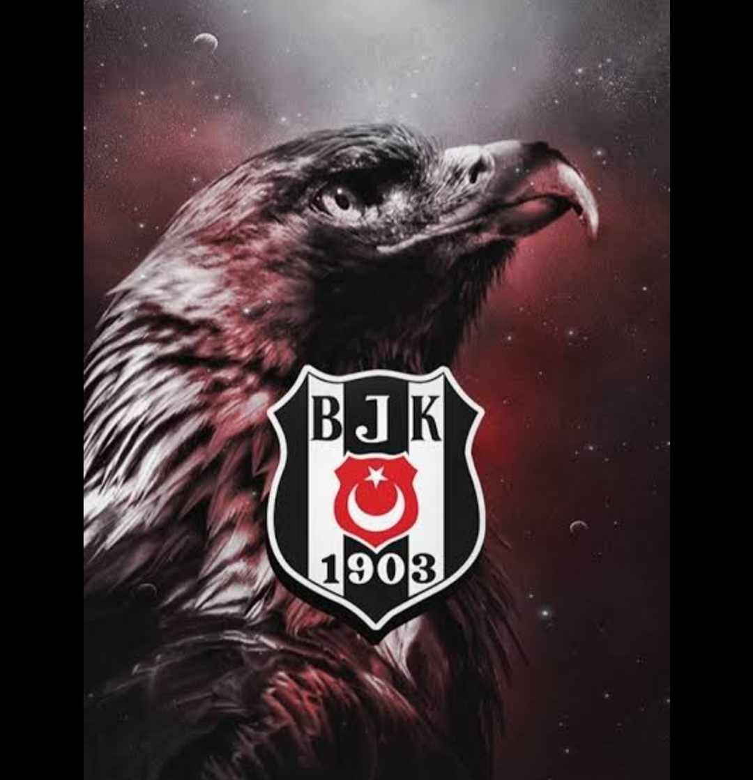 Koray