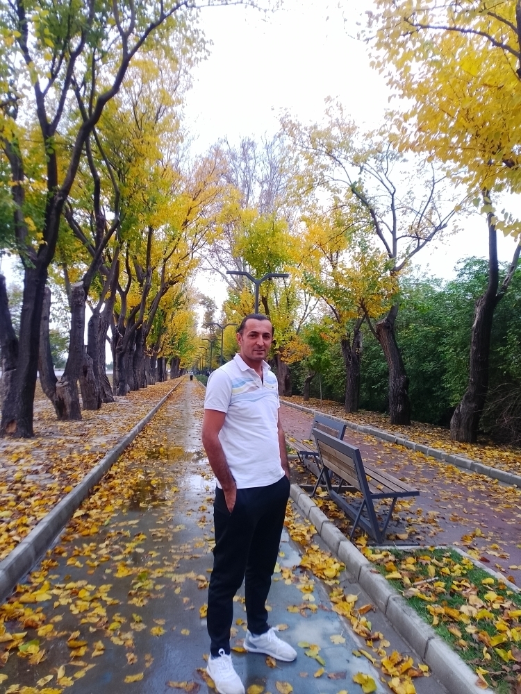 Zeynal