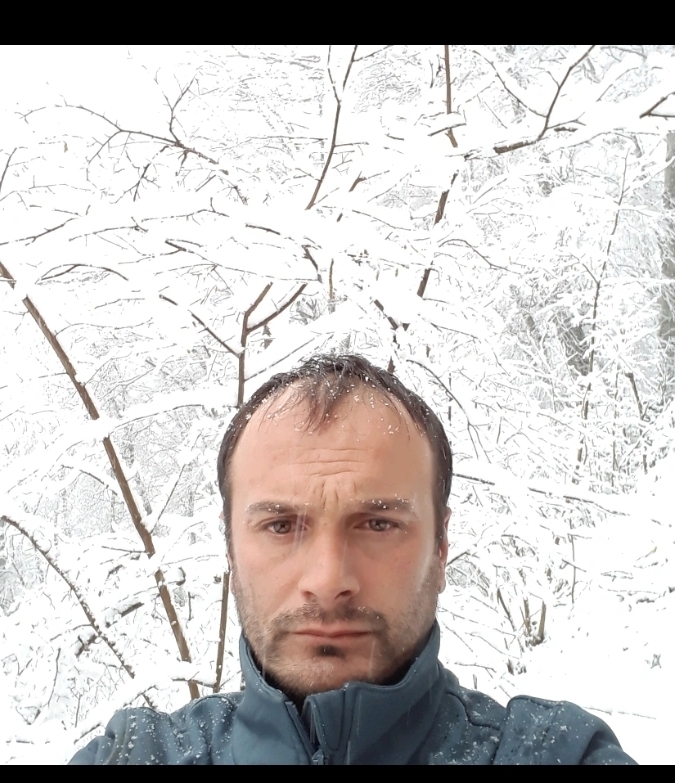 Şahin
