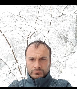 Şahin