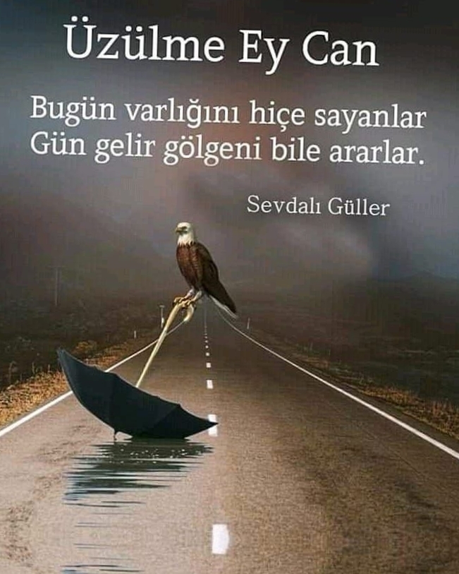 Alişan