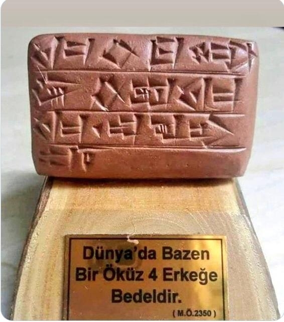 İlayda